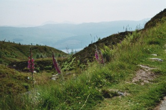 Ben Lawers